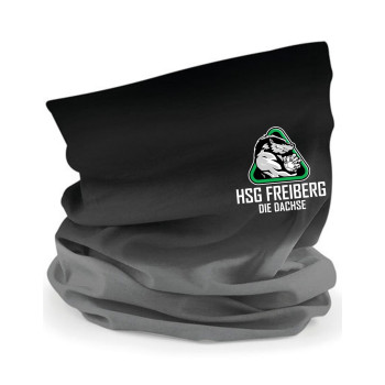 HSG Freiberg Loopschal