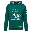 HSG Freiberg Dachsepower Hoodie Unisex grün