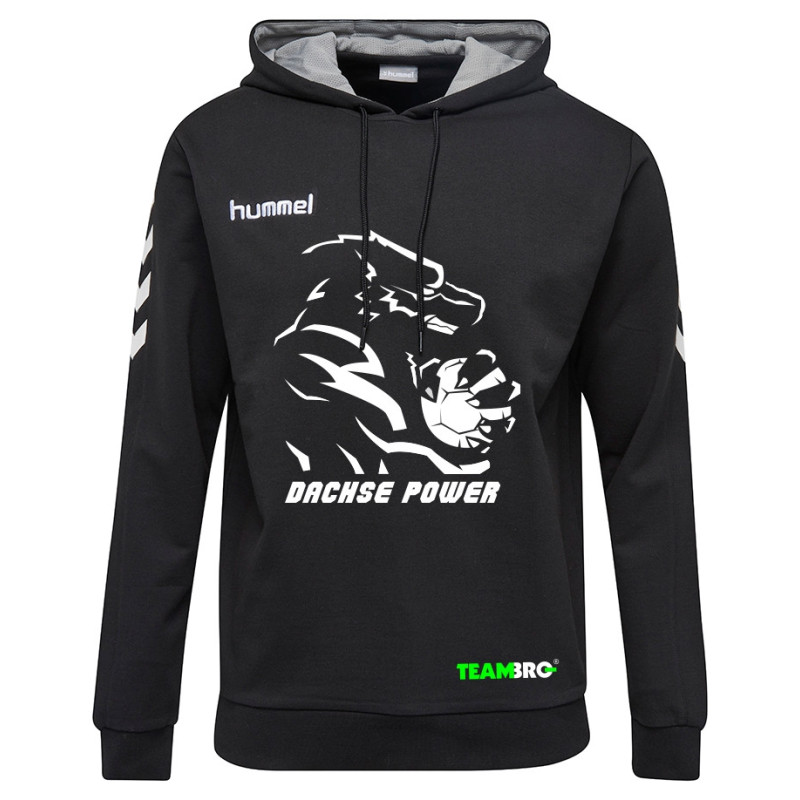 HSG Freiberg Dachsepower Hoodie Junior schwarz