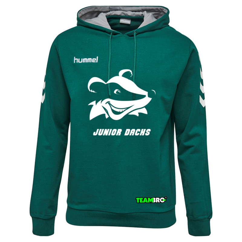 HSG Freiberg Juniordachs Hoodie Junior grün