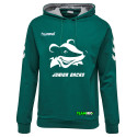 HSG Freiberg Juniordachs Hoodie Junior grün